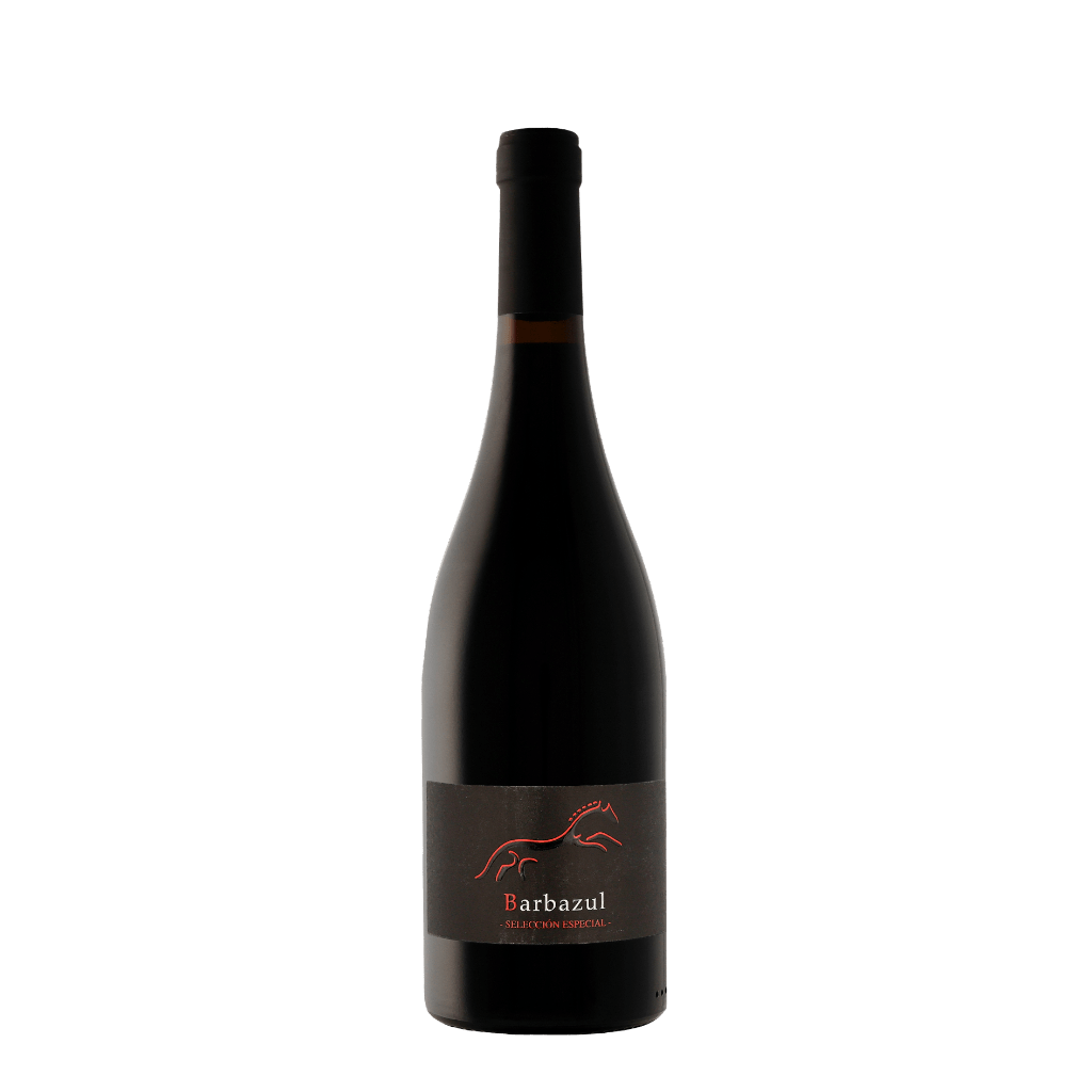 Barbazul Tinto Seleccion 2018 75cl Rode Wijn